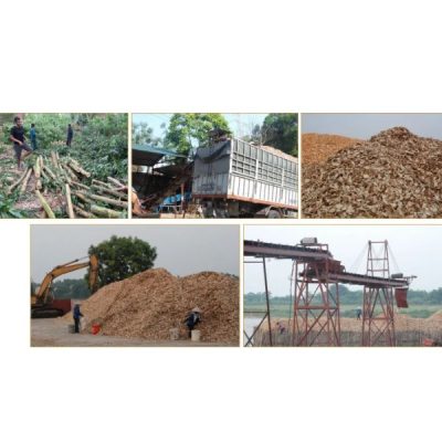 Nhà máy chế biến gỗ sản xuất bột giấy