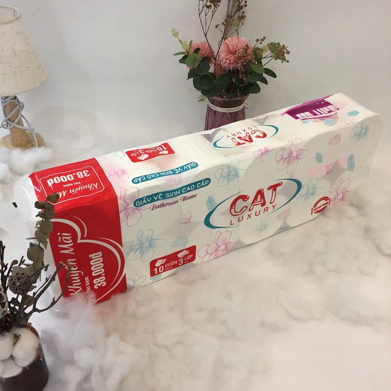 Giấy vệ sinh cat 10+2