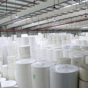 nhà sản máy sản xuất giấy vệ sinh xanh